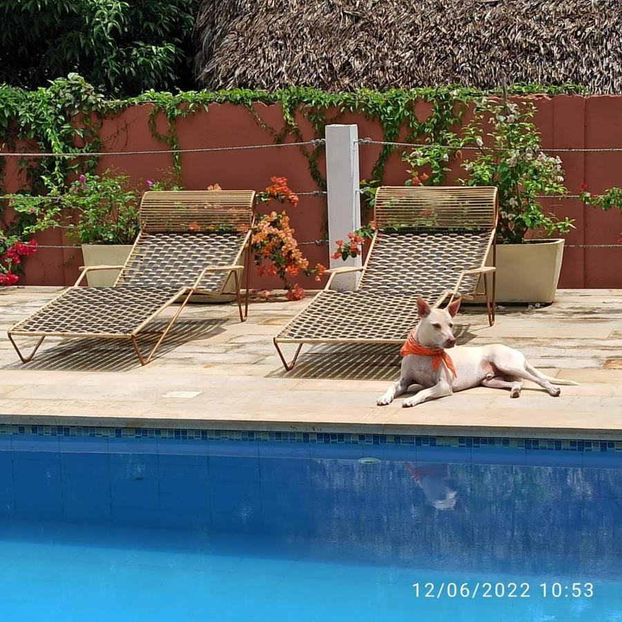 Color Hostel Palomino Dış mekan fotoğraf