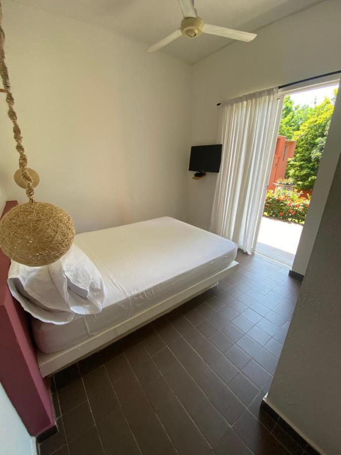 Color Hostel Palomino Dış mekan fotoğraf