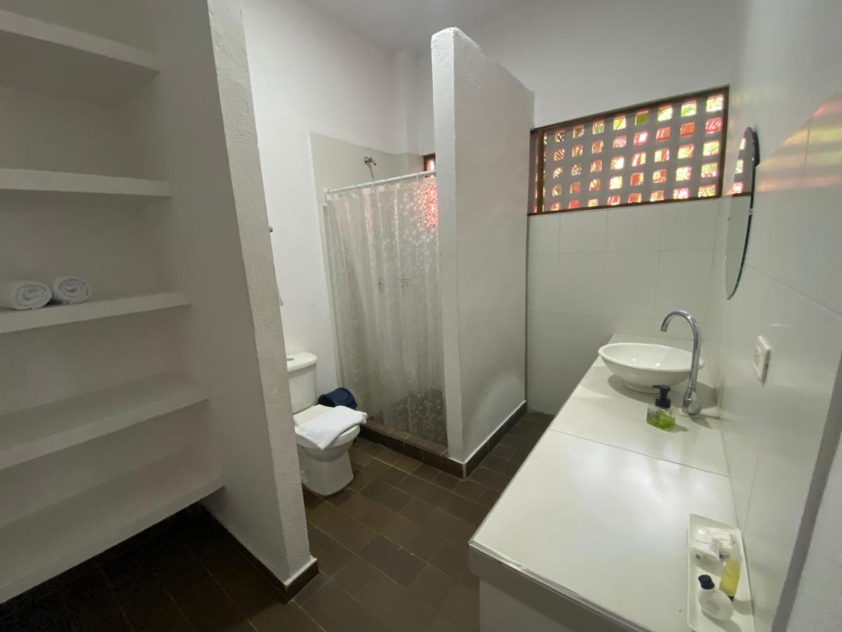 Color Hostel Palomino Dış mekan fotoğraf