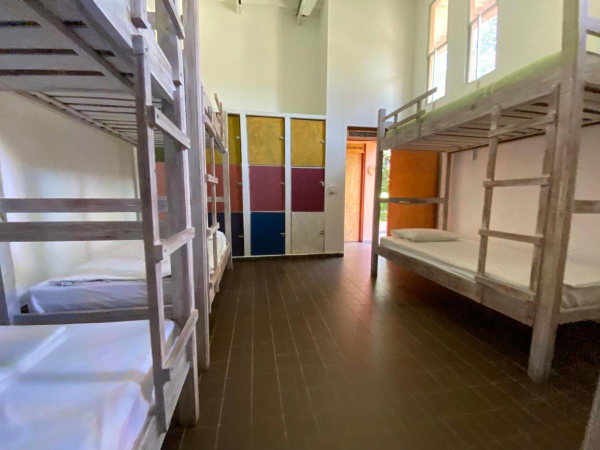 Color Hostel Palomino Dış mekan fotoğraf